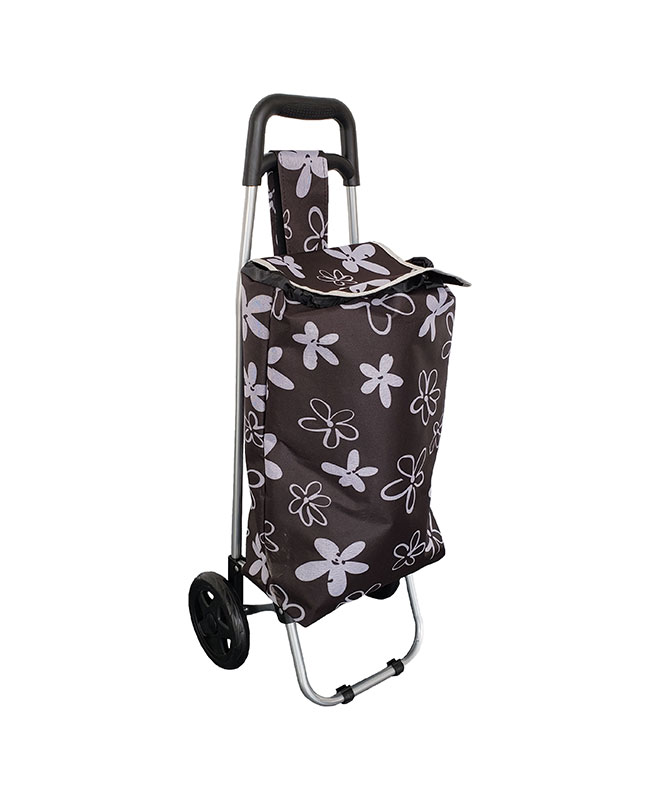 carrito-de-mercado-20210724200745.jpg